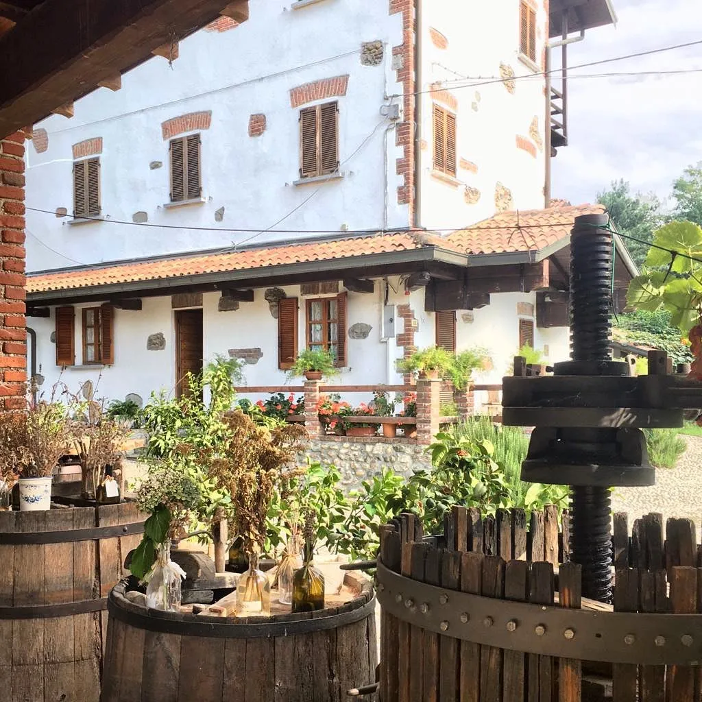 Un sorso di Colline Novaresi: visita e degustazione vini thumbnail 6