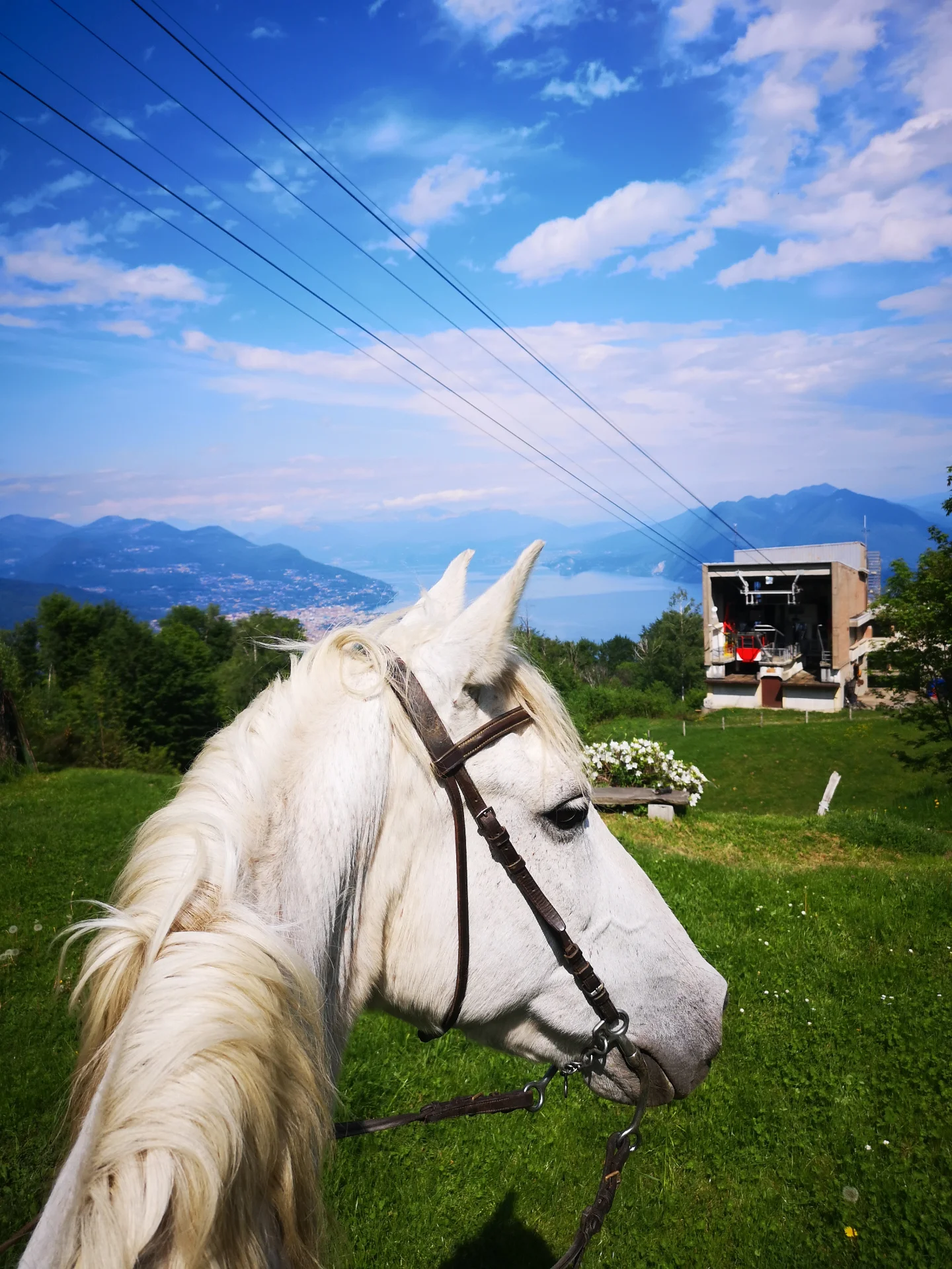 Horseback Riding in the Mountains around Lake Maggiore thumbnail 2