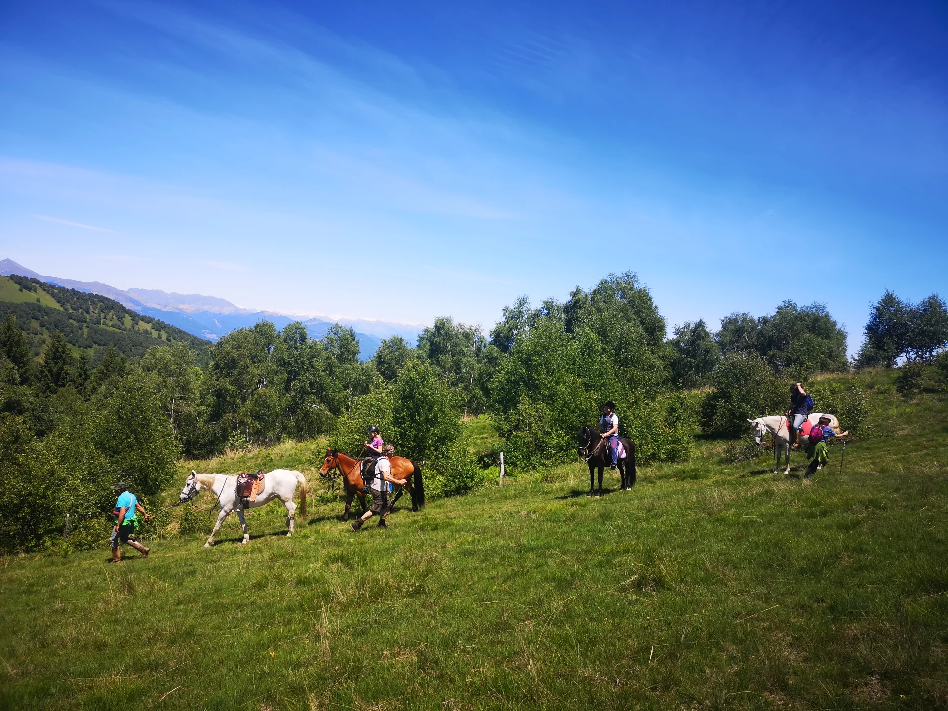 Horseback Riding in the Mountains around Lake Maggiore thumbnail 3