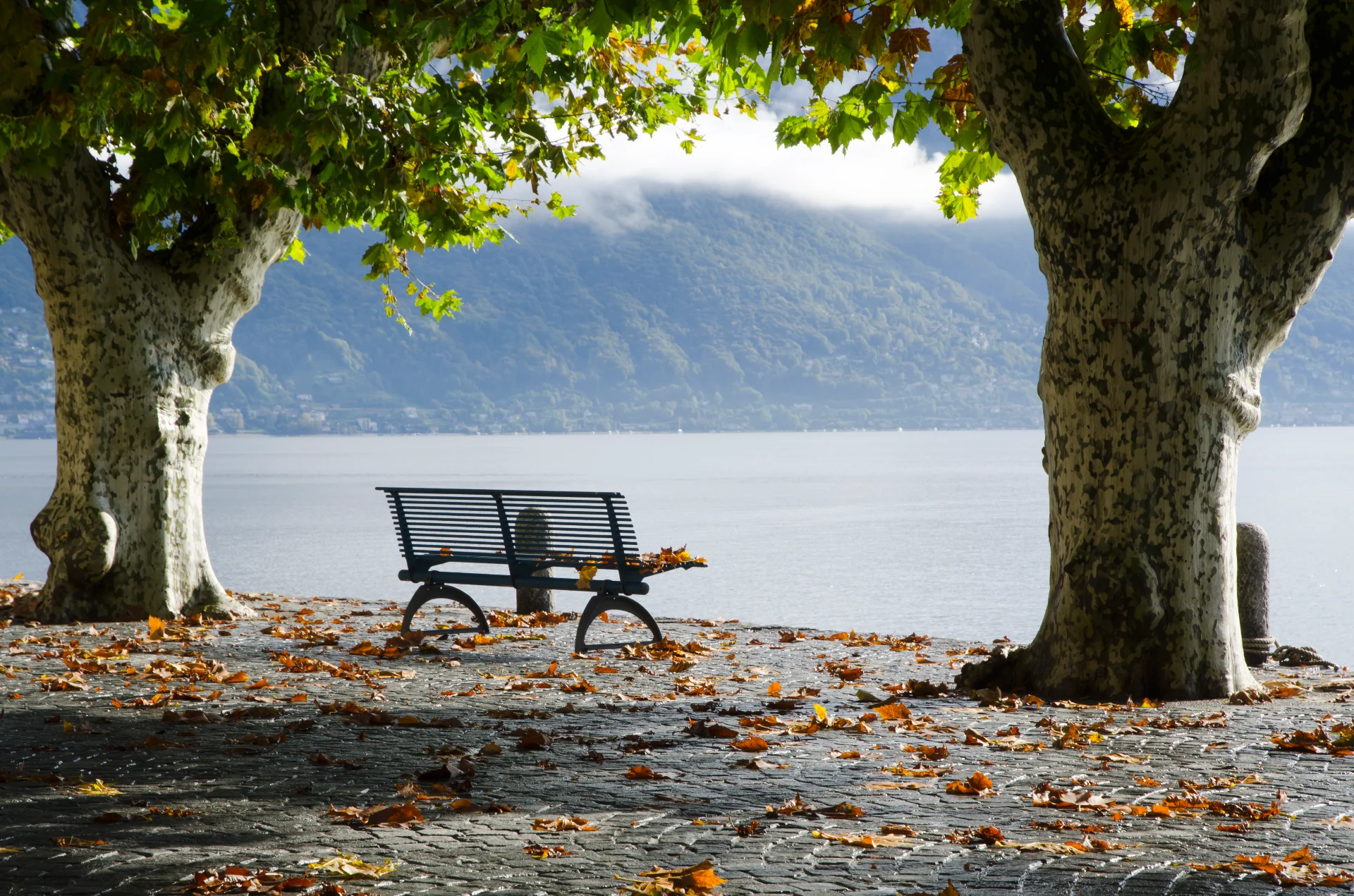 Tour al Tramonto: Visita Guidata serale di Baveno o Stresa (1 ora) thumbnail 3