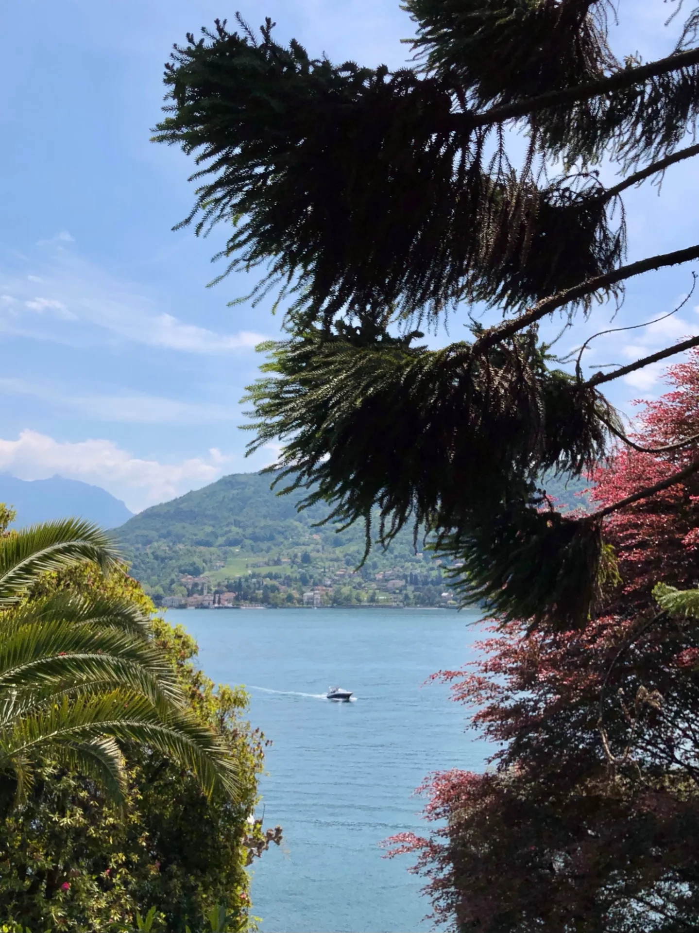 Isola Madre, un Giardino sull’acqua - Visita Guidata thumbnail 7