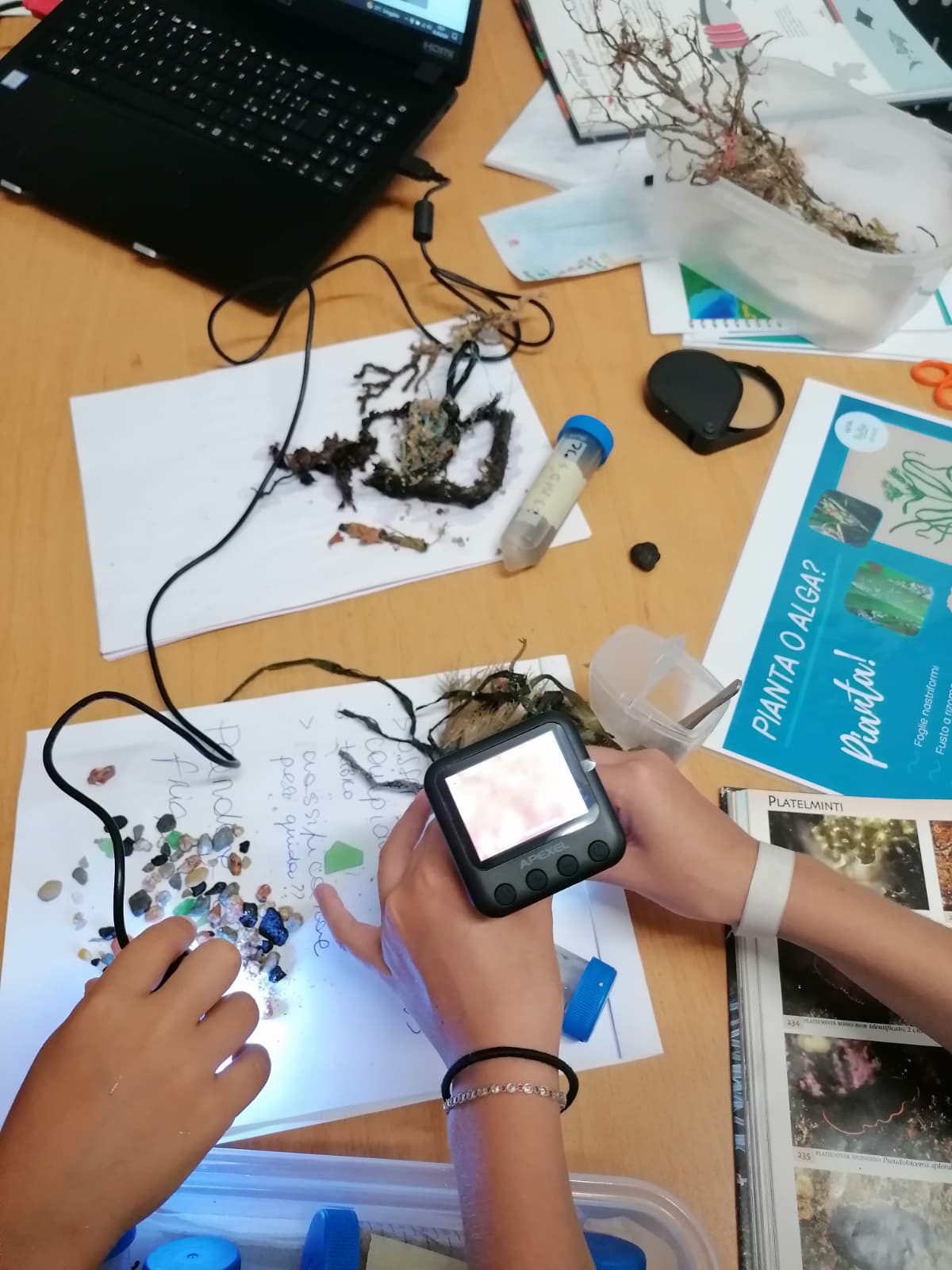 Lake Maggiore Nature Lab thumbnail 2