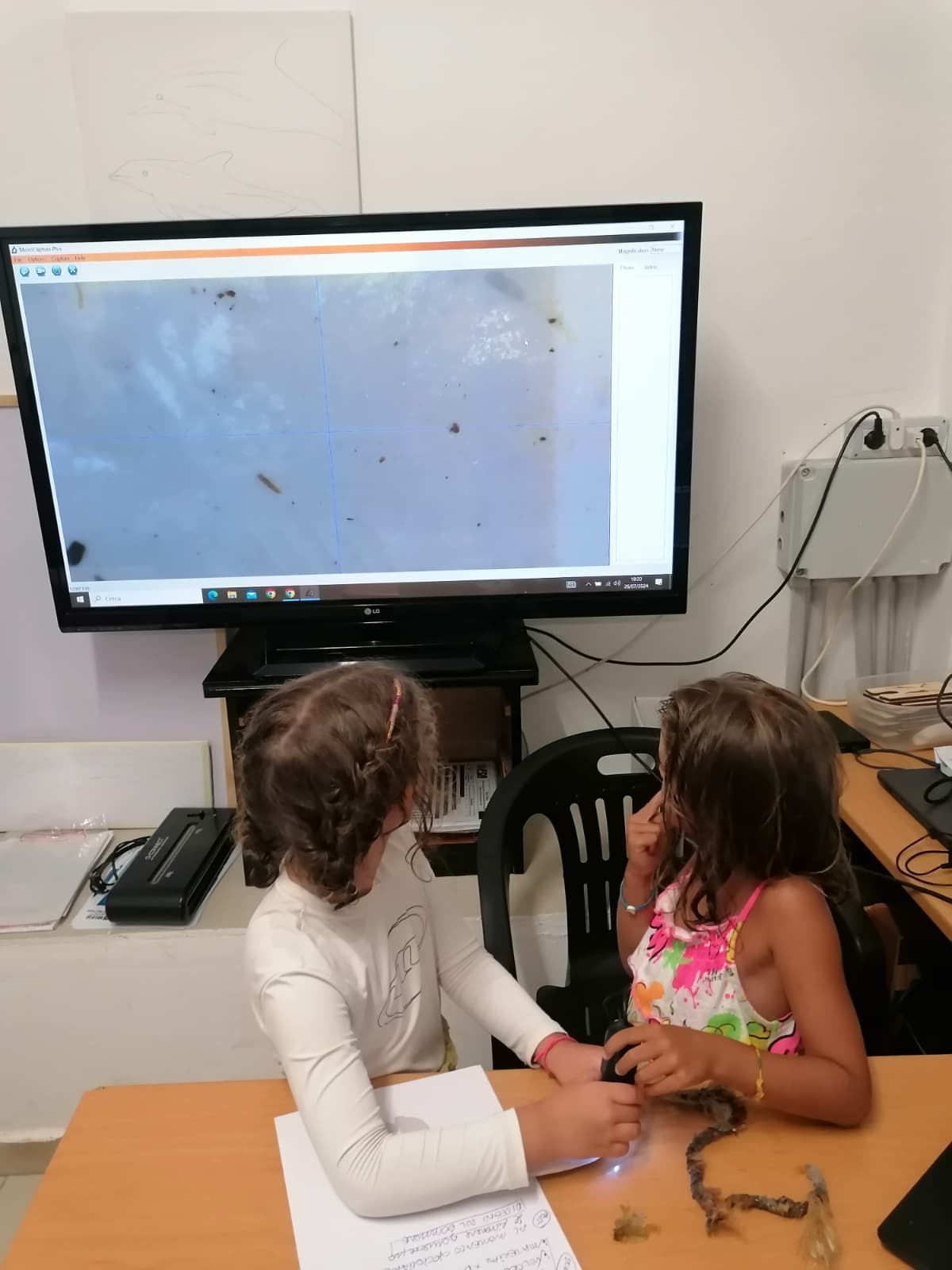 Lake Maggiore Nature Lab thumbnail 3