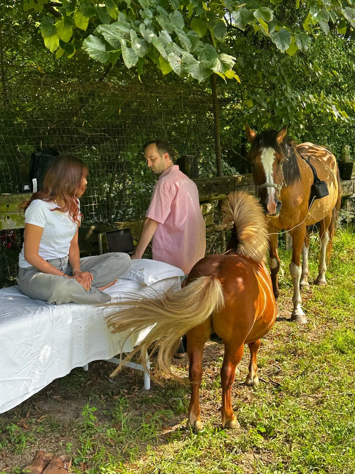 Horse Sound — A Unique Sensory Experience with Horses thumbnail 3