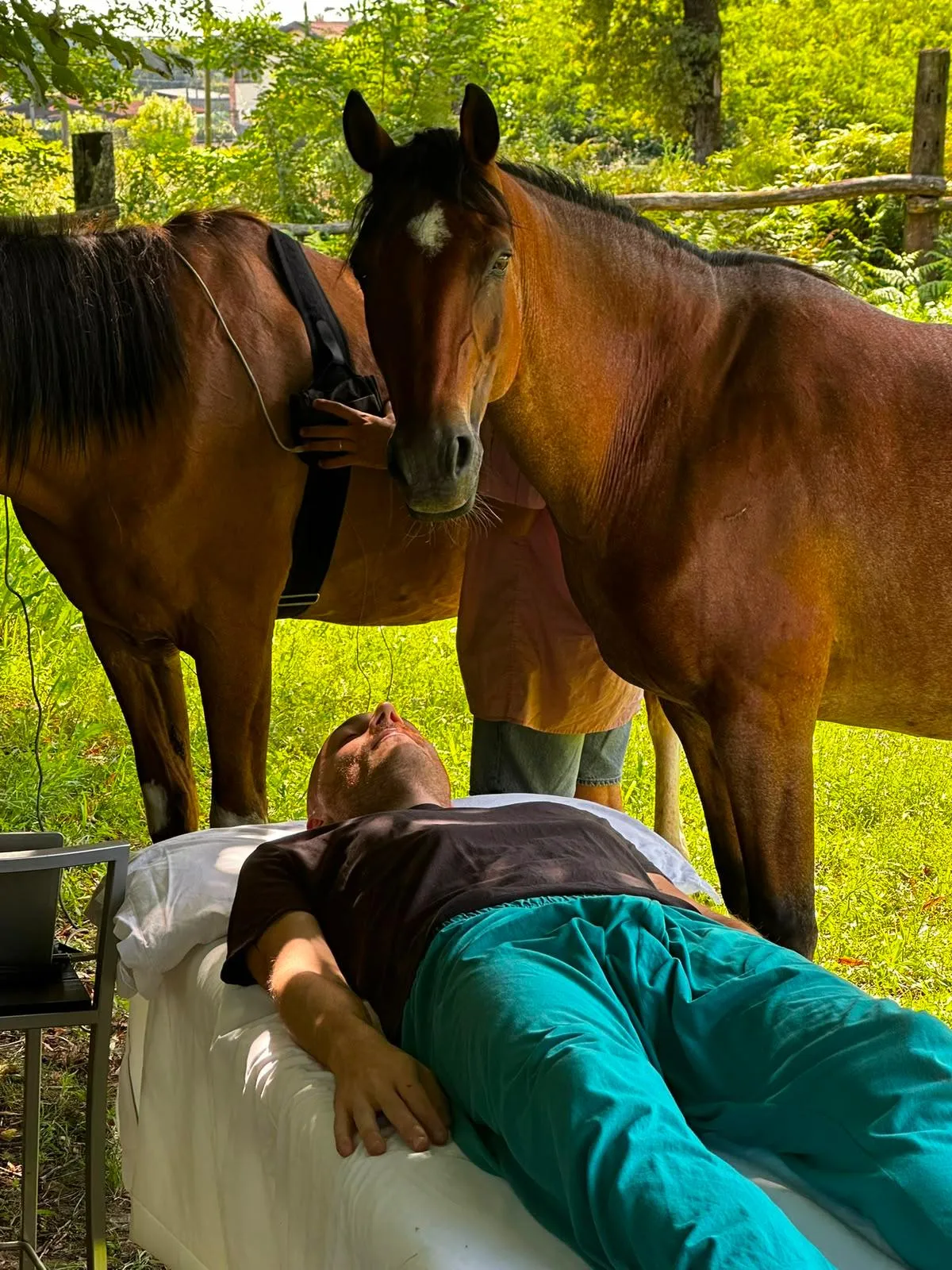 Horse Sound — A Unique Sensory Experience with Horses thumbnail 2