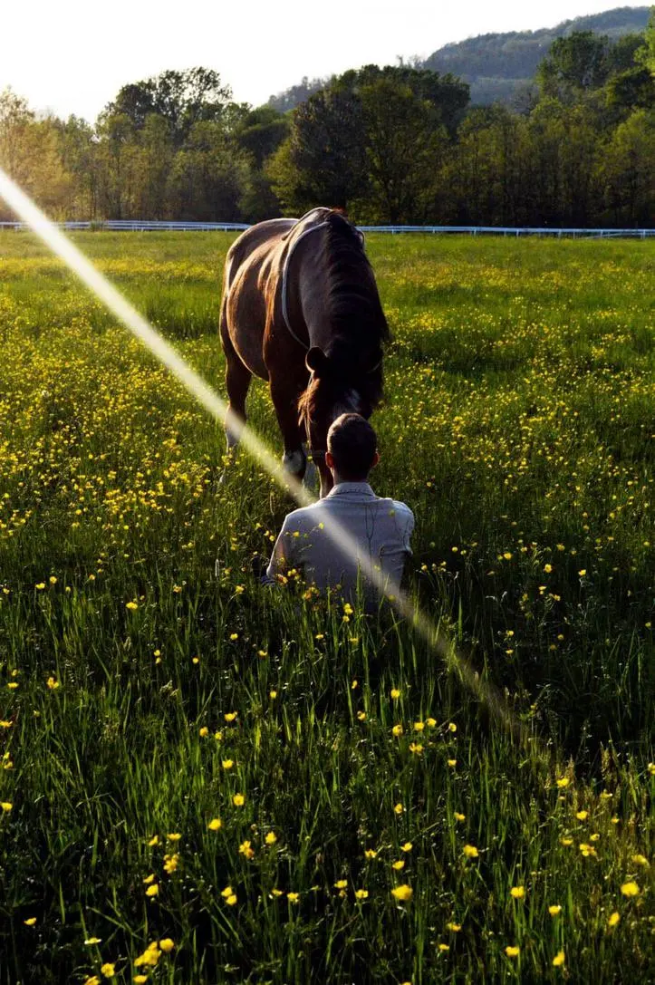 Horse Sound — A Unique Sensory Experience with Horses thumbnail 5