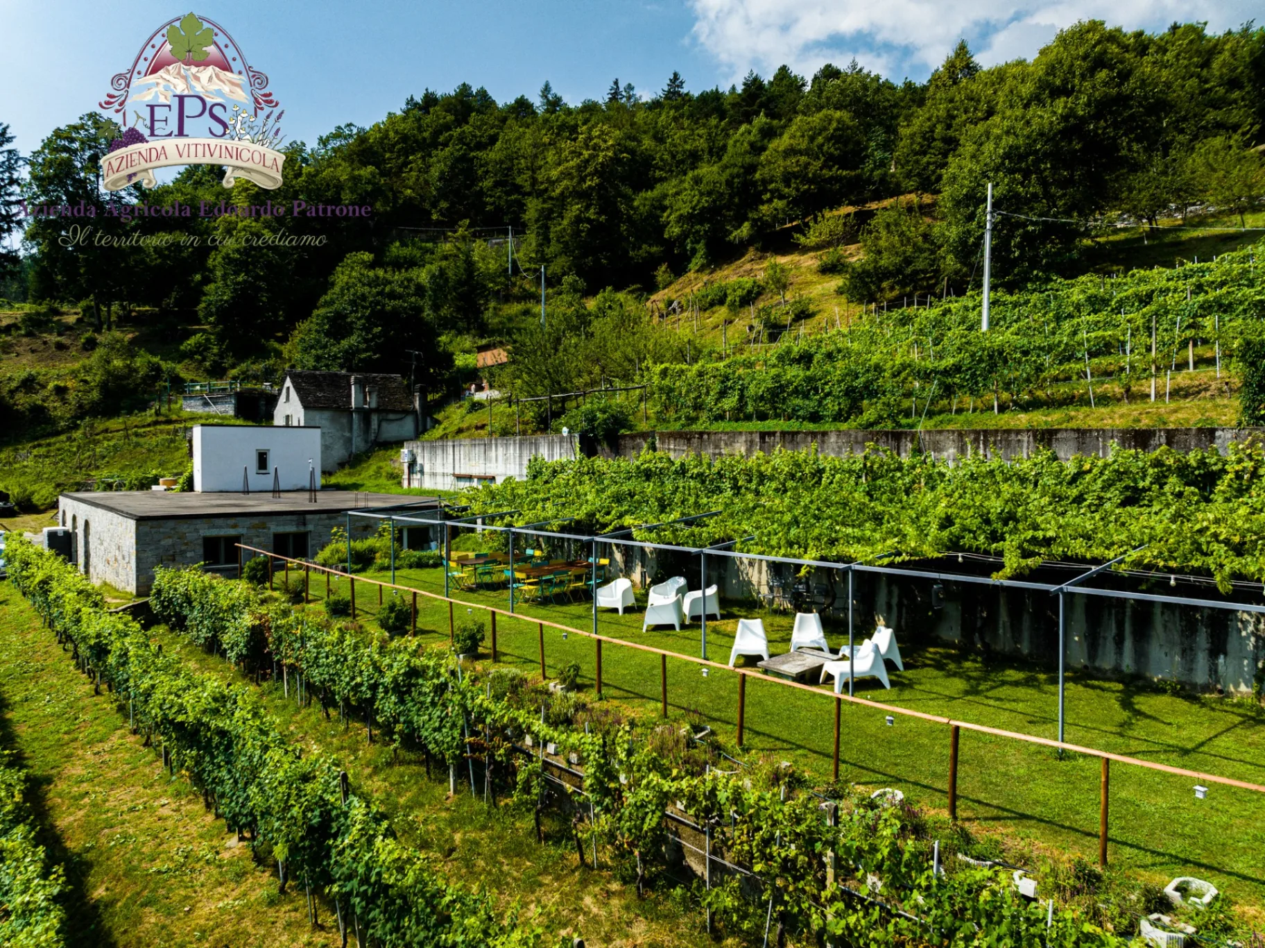 Picnic in vigna - Transfer da Baveno/Stresa incluso thumbnail 2