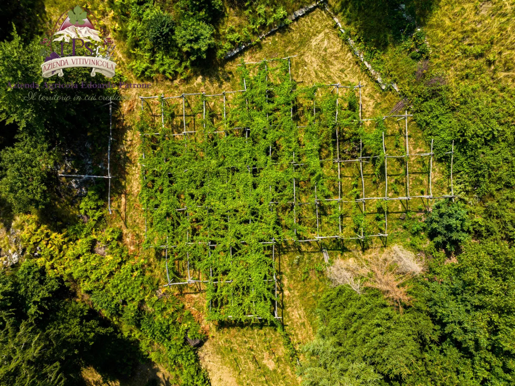 Merenda Sinoira thumbnail 5