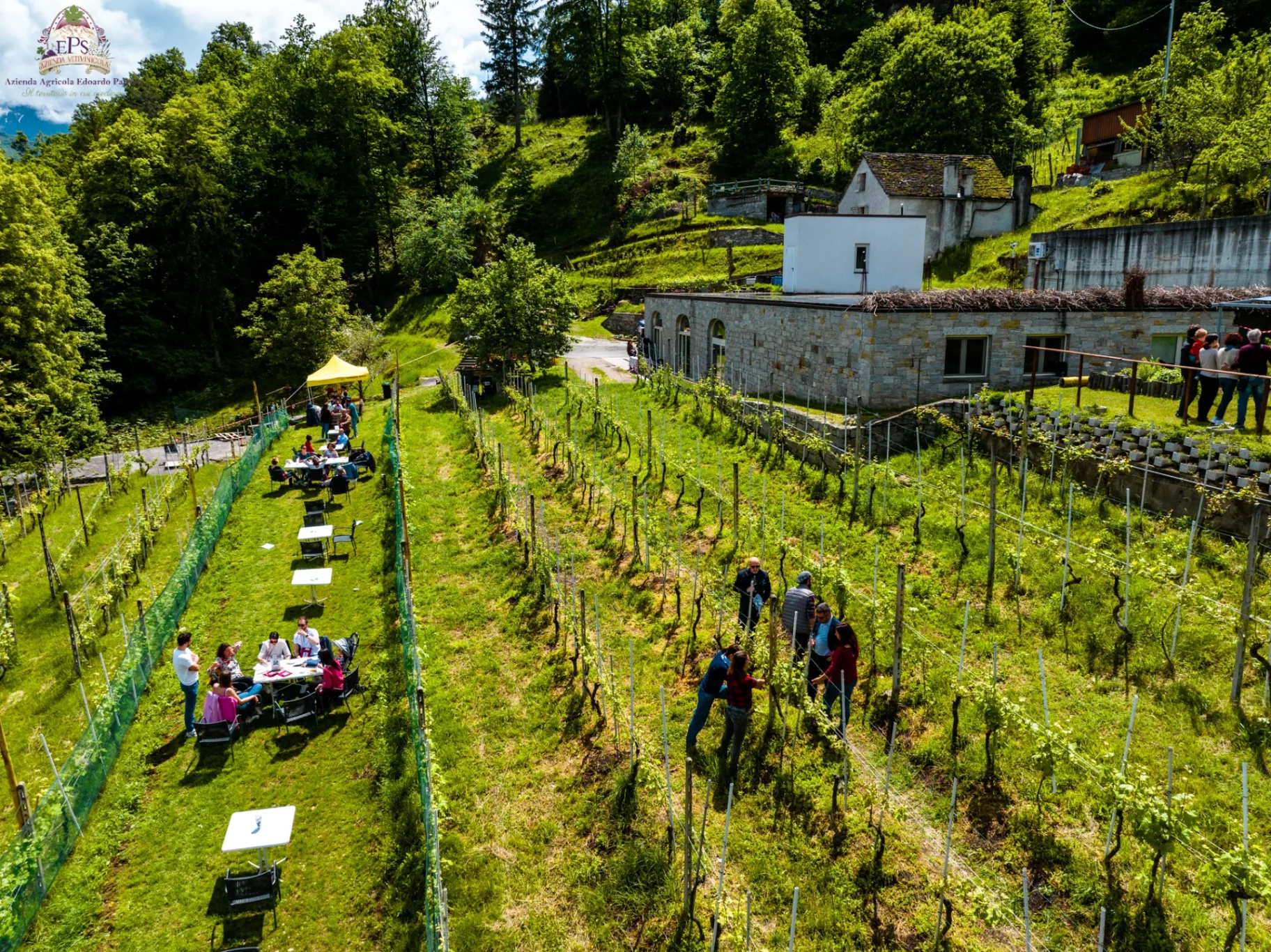 Piedmontese Merenda Sinoira: Wine & Traditional Food Experience thumbnail 7