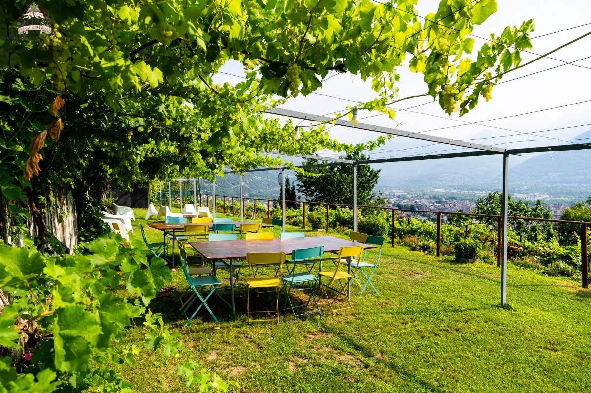 Degustazione Vino EP - 5 calici thumbnail 2