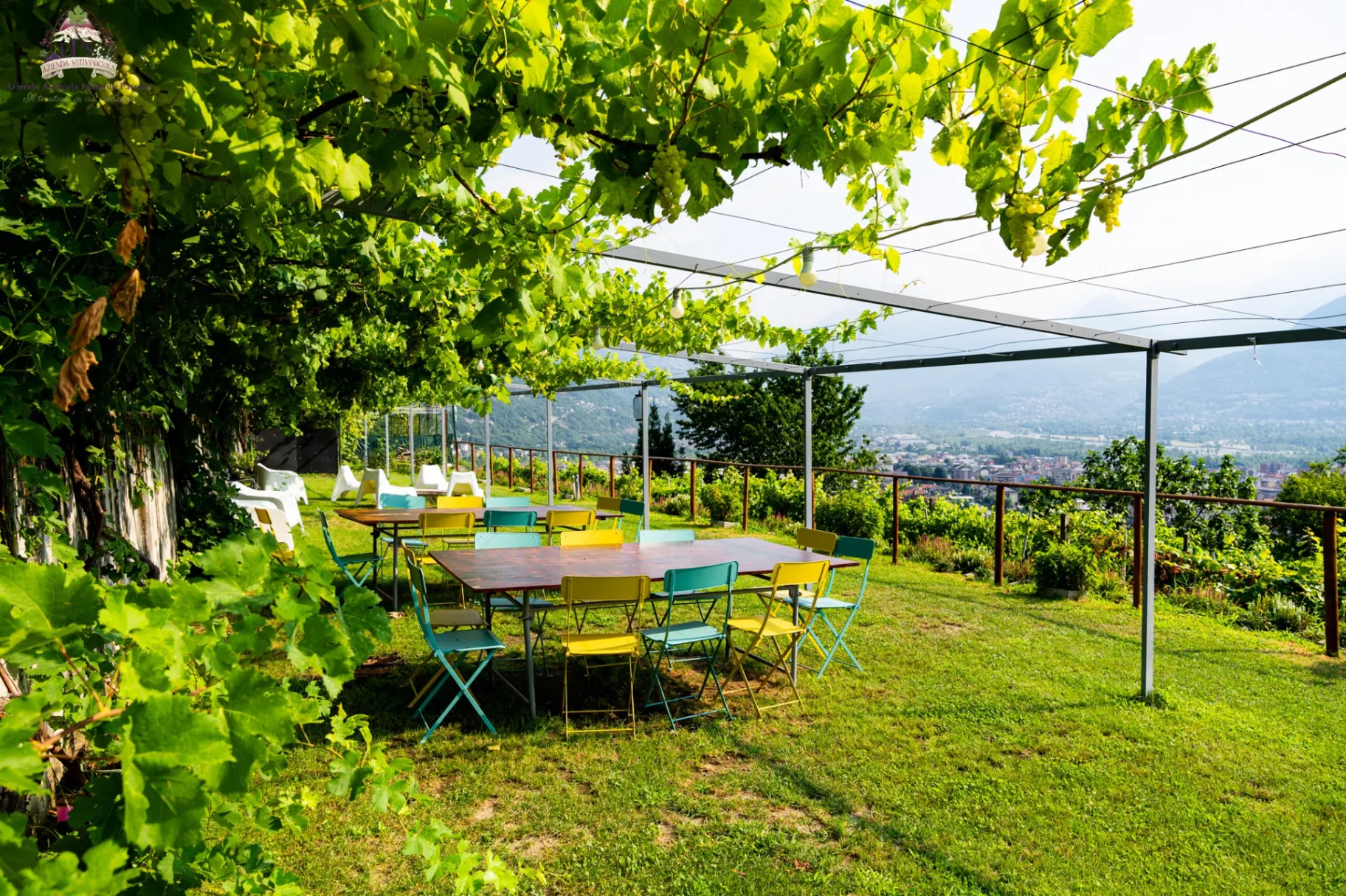 Picnic in vigna thumbnail 6