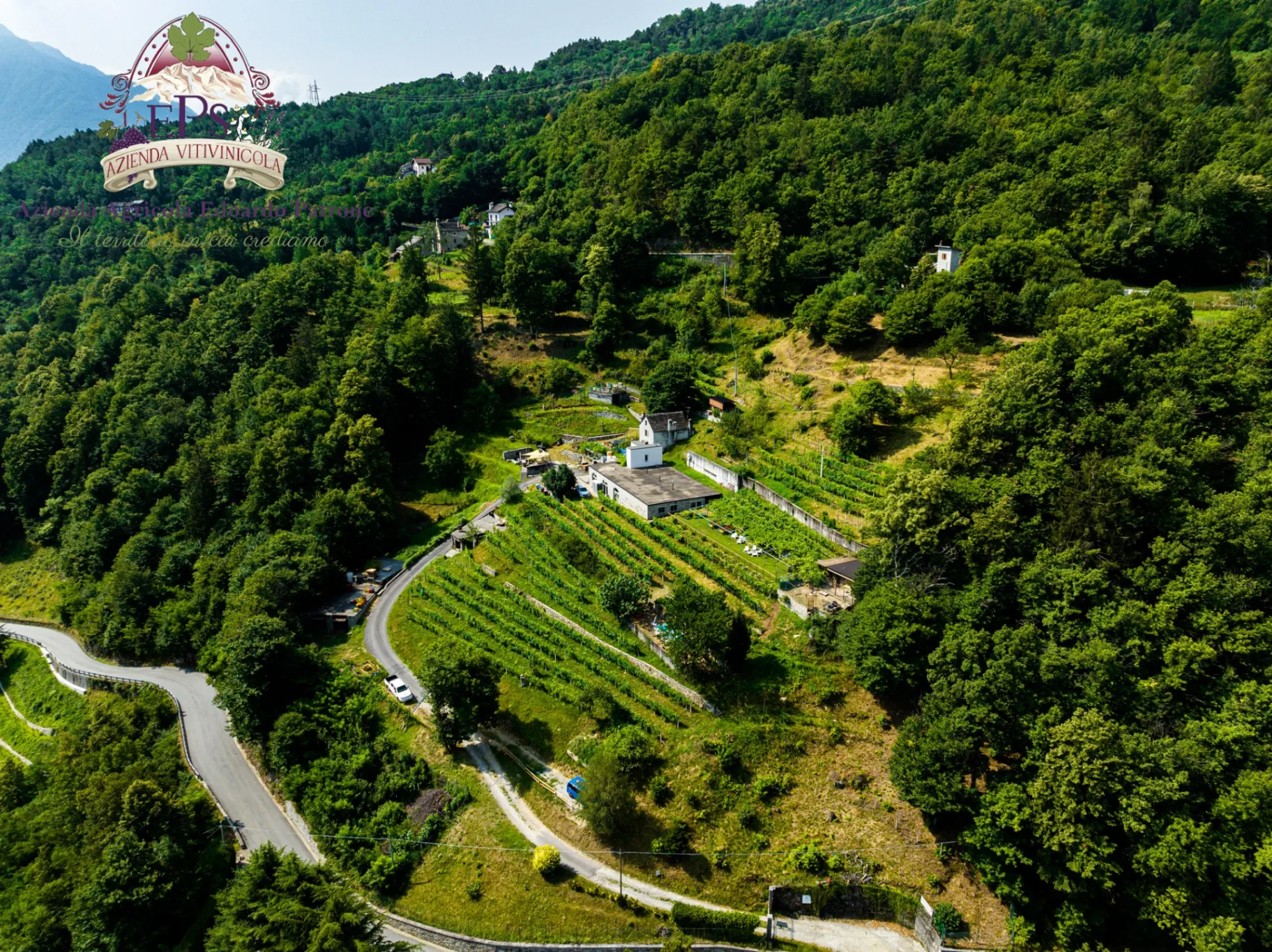 Picnic in vigna thumbnail 7