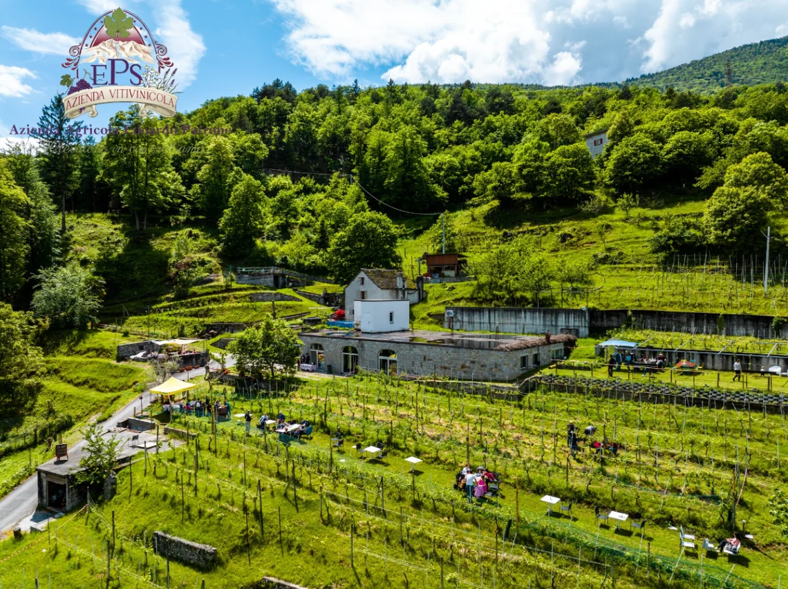 Degustazione Vino EP - 3 calici thumbnail 3