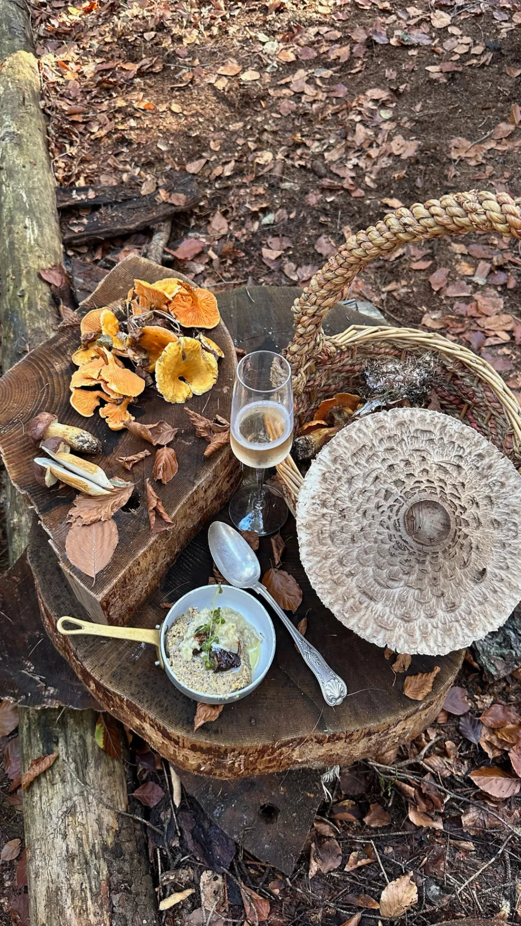 Cook in the Wild thumbnail 3