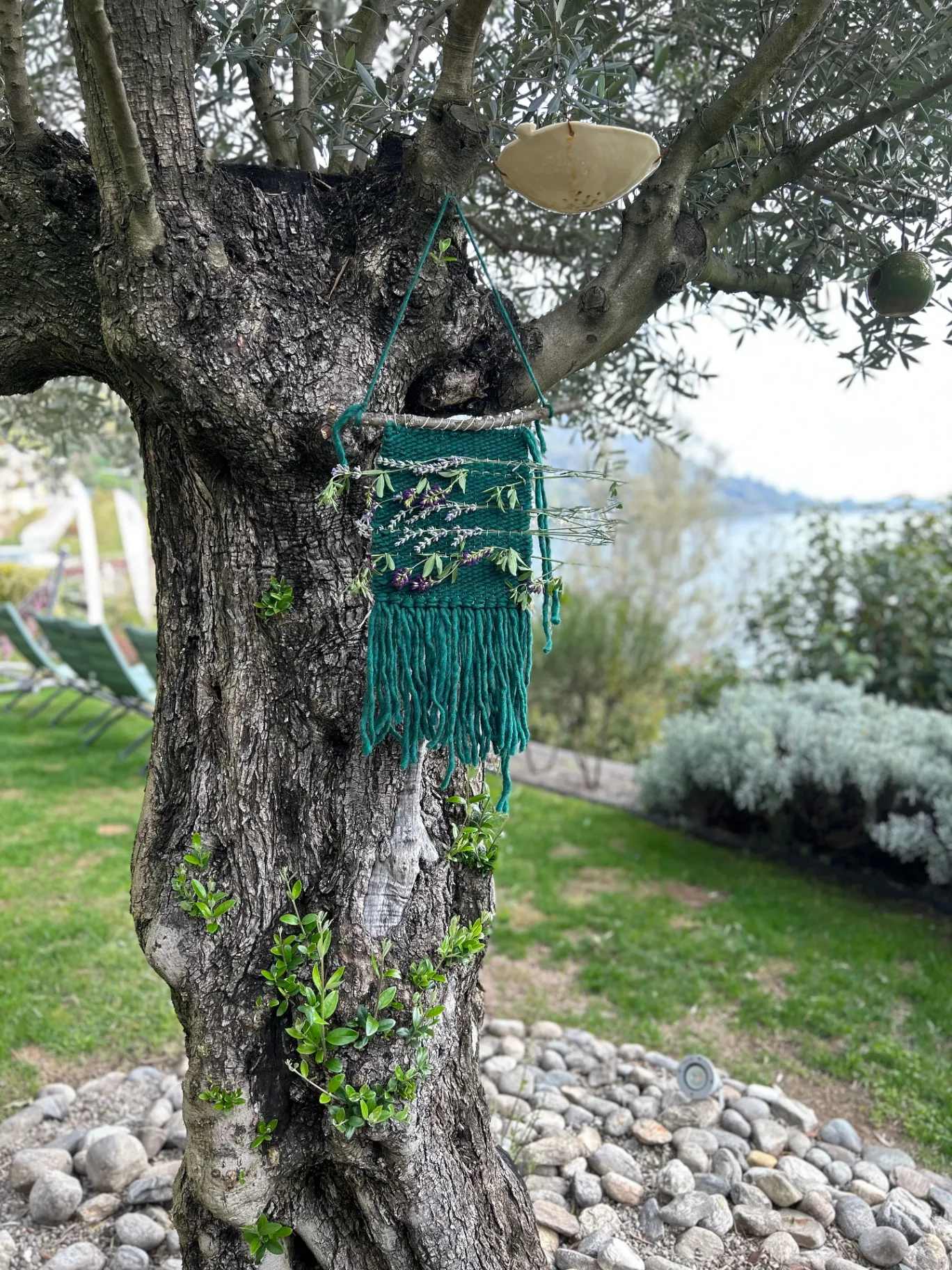 Workshop Arte: Tessitura Botanica thumbnail 2