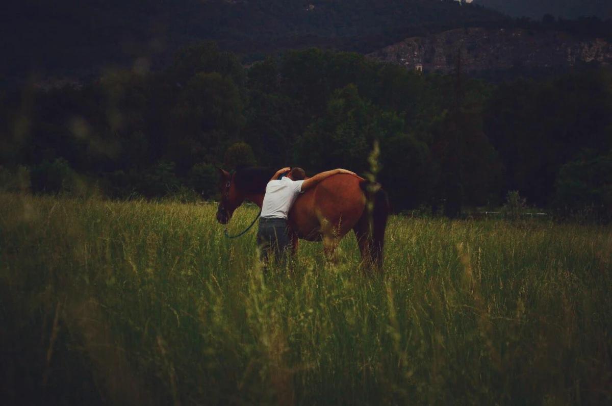 Horse Sound — A Unique Sensory Experience with Horses