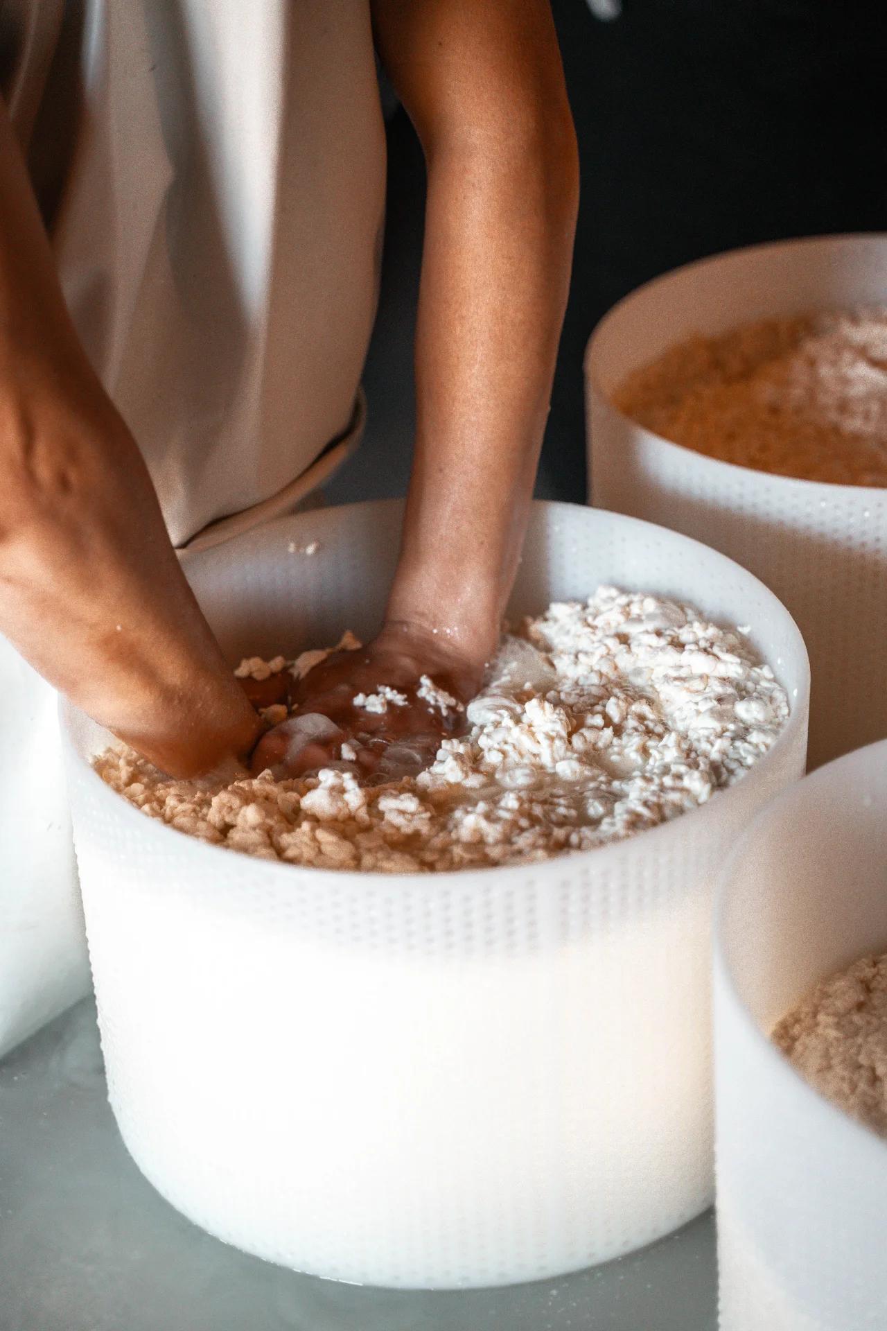 “Cheesemaker’s Day” Experience
